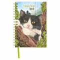 Agenda Franciens Katten 2027 Bailey
