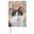 Agenda 2027 Franciens Katten Boris