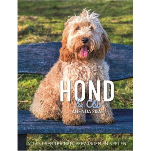 Agenda 2026 Hond en co
