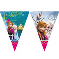Disney Frozen Vlaggelijn - 2 m